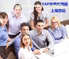 選擇上海悠遠SAP咨詢公司，享受專業(yè)SAP金牌服務(wù)